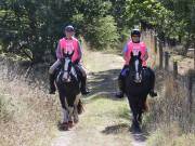 Image 91 in ANGLIAN DISTANCE RIDERS. LITTLE LODGE. 15TH SEPTEMBER 2019