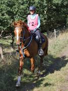 Image 94 in ANGLIAN DISTANCE RIDERS. LITTLE LODGE. 15TH SEPTEMBER 2019