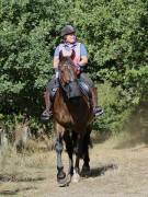 Image 99 in ANGLIAN DISTANCE RIDERS. LITTLE LODGE. 15TH SEPTEMBER 2019