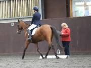 Image 106 in DRESSAGE AT WORLD HORSE WELFARE. 5TH OCTOBER 2019
