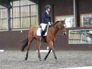 Image 109 in DRESSAGE AT WORLD HORSE WELFARE. 5TH OCTOBER 2019