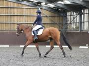 Image 112 in DRESSAGE AT WORLD HORSE WELFARE. 5TH OCTOBER 2019