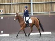 Image 113 in DRESSAGE AT WORLD HORSE WELFARE. 5TH OCTOBER 2019