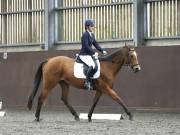 Image 114 in DRESSAGE AT WORLD HORSE WELFARE. 5TH OCTOBER 2019