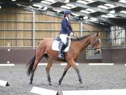 Image 120 in DRESSAGE AT WORLD HORSE WELFARE. 5TH OCTOBER 2019
