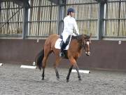 Image 125 in DRESSAGE AT WORLD HORSE WELFARE. 5TH OCTOBER 2019