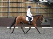 Image 126 in DRESSAGE AT WORLD HORSE WELFARE. 5TH OCTOBER 2019