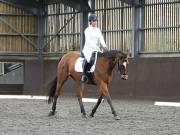 Image 128 in DRESSAGE AT WORLD HORSE WELFARE. 5TH OCTOBER 2019