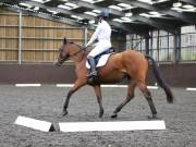 Image 129 in DRESSAGE AT WORLD HORSE WELFARE. 5TH OCTOBER 2019