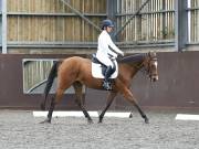 Image 130 in DRESSAGE AT WORLD HORSE WELFARE. 5TH OCTOBER 2019