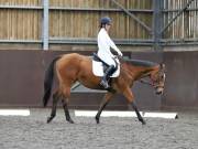 Image 131 in DRESSAGE AT WORLD HORSE WELFARE. 5TH OCTOBER 2019