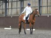 Image 134 in DRESSAGE AT WORLD HORSE WELFARE. 5TH OCTOBER 2019