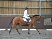 Image 135 in DRESSAGE AT WORLD HORSE WELFARE. 5TH OCTOBER 2019