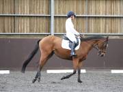 Image 136 in DRESSAGE AT WORLD HORSE WELFARE. 5TH OCTOBER 2019