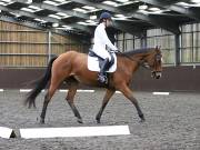 Image 137 in DRESSAGE AT WORLD HORSE WELFARE. 5TH OCTOBER 2019