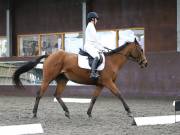 Image 138 in DRESSAGE AT WORLD HORSE WELFARE. 5TH OCTOBER 2019