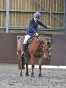 Image 139 in DRESSAGE AT WORLD HORSE WELFARE. 5TH OCTOBER 2019