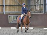 Image 150 in DRESSAGE AT WORLD HORSE WELFARE. 5TH OCTOBER 2019