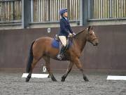 Image 151 in DRESSAGE AT WORLD HORSE WELFARE. 5TH OCTOBER 2019