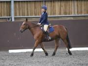 Image 153 in DRESSAGE AT WORLD HORSE WELFARE. 5TH OCTOBER 2019