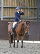 Image 157 in DRESSAGE AT WORLD HORSE WELFARE. 5TH OCTOBER 2019