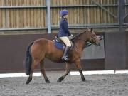 Image 158 in DRESSAGE AT WORLD HORSE WELFARE. 5TH OCTOBER 2019