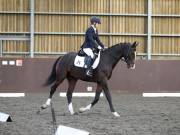 Image 163 in DRESSAGE AT WORLD HORSE WELFARE. 5TH OCTOBER 2019