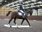 Image 166 in DRESSAGE AT WORLD HORSE WELFARE. 5TH OCTOBER 2019