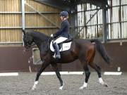 Image 168 in DRESSAGE AT WORLD HORSE WELFARE. 5TH OCTOBER 2019