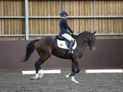 Image 171 in DRESSAGE AT WORLD HORSE WELFARE. 5TH OCTOBER 2019
