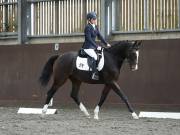 Image 172 in DRESSAGE AT WORLD HORSE WELFARE. 5TH OCTOBER 2019