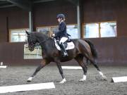 Image 174 in DRESSAGE AT WORLD HORSE WELFARE. 5TH OCTOBER 2019