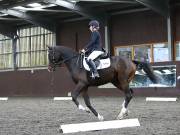 Image 176 in DRESSAGE AT WORLD HORSE WELFARE. 5TH OCTOBER 2019