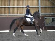 Image 178 in DRESSAGE AT WORLD HORSE WELFARE. 5TH OCTOBER 2019