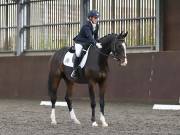 Image 180 in DRESSAGE AT WORLD HORSE WELFARE. 5TH OCTOBER 2019