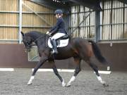 Image 181 in DRESSAGE AT WORLD HORSE WELFARE. 5TH OCTOBER 2019