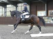 Image 183 in DRESSAGE AT WORLD HORSE WELFARE. 5TH OCTOBER 2019