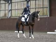 Image 186 in DRESSAGE AT WORLD HORSE WELFARE. 5TH OCTOBER 2019