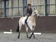 Image 189 in DRESSAGE AT WORLD HORSE WELFARE. 5TH OCTOBER 2019