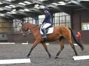 Image 19 in DRESSAGE AT WORLD HORSE WELFARE. 5TH OCTOBER 2019
