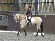 Image 195 in DRESSAGE AT WORLD HORSE WELFARE. 5TH OCTOBER 2019