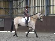 Image 198 in DRESSAGE AT WORLD HORSE WELFARE. 5TH OCTOBER 2019