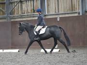 Image 2 in DRESSAGE AT WORLD HORSE WELFARE. 5TH OCTOBER 2019