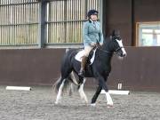 Image 205 in DRESSAGE AT WORLD HORSE WELFARE. 5TH OCTOBER 2019