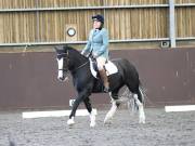 Image 208 in DRESSAGE AT WORLD HORSE WELFARE. 5TH OCTOBER 2019