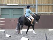 Image 209 in DRESSAGE AT WORLD HORSE WELFARE. 5TH OCTOBER 2019