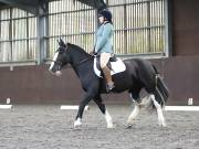 Image 210 in DRESSAGE AT WORLD HORSE WELFARE. 5TH OCTOBER 2019