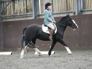 Image 214 in DRESSAGE AT WORLD HORSE WELFARE. 5TH OCTOBER 2019