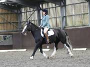 Image 216 in DRESSAGE AT WORLD HORSE WELFARE. 5TH OCTOBER 2019