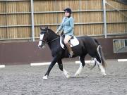 Image 217 in DRESSAGE AT WORLD HORSE WELFARE. 5TH OCTOBER 2019
